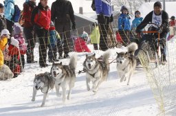 Lenk 2012 SM